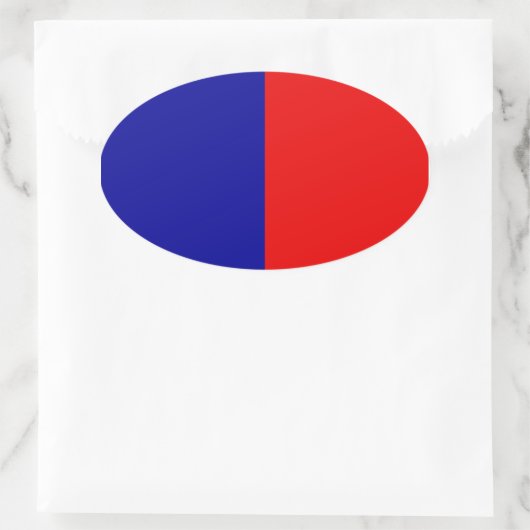 Paris Flag Ovale Sticker (Tas)