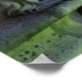 Paris France Gargoyle Poster (Hoek)