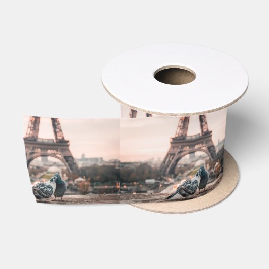 Paris, Frankrijk lint (Spoel)