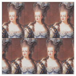 Paris French Marie Antoinette Fabric Stof