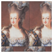 Paris French Marie Antoinette Fabric Stof (Close Up)