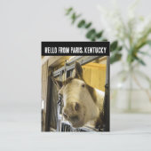 PARIS KENTUCKY HORSE BRIEFKAART (Staand voorkant)