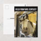 PARIS KENTUCKY HORSE BRIEFKAART (Voorkant / Achterkant)