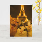 Paris Nacht Kat Selfie Squad Liefhebber            Kaart (Gele Bloem)