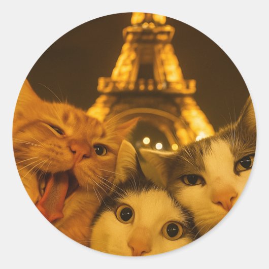 Paris Nacht Kat Selfie Squad Liefhebber Ronde Sticker (Voorkant)