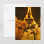 Paris Night Cat Selfie Squad Lover                 Briefkaart (Voorkant / Achterkant)