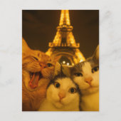 Paris Night Cat Selfie Squad Lover                 Briefkaart (Voorkant)