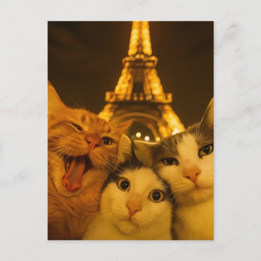 Paris Night Cat Selfie Squad Lover                 Briefkaart (Voorkant)