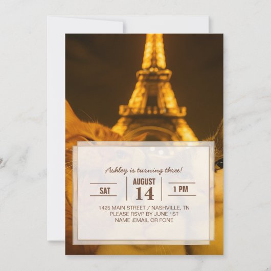 Paris Night Cat Selfie Squad Lover                 Kaart (Voorkant)