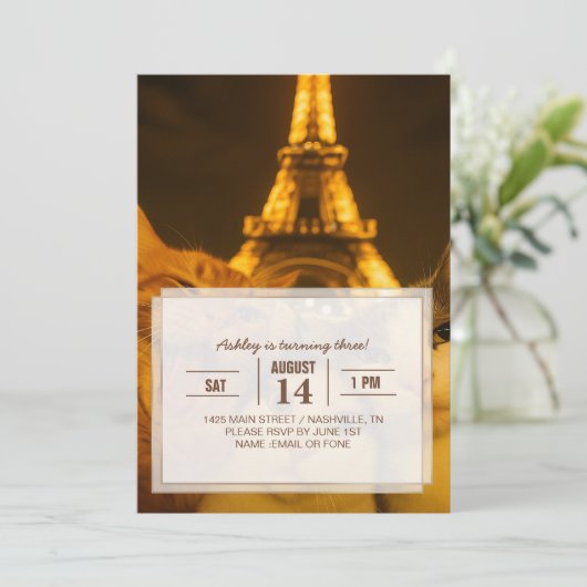 Paris Night Cat Selfie Squad Lover                 Kaart (Staand voorkant)