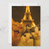 Paris Night Cat Selfie Squad Lover                 Kaart (Achterkant)