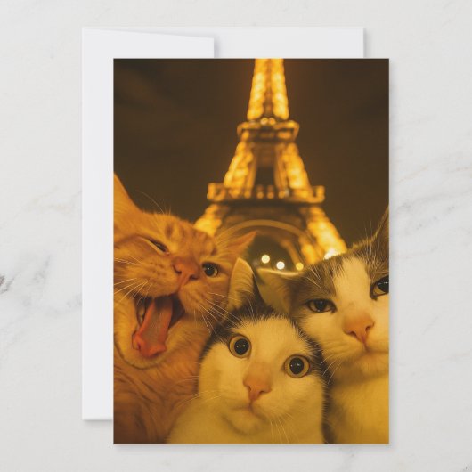 Paris Night Cat Selfie Squad Lover                 Kaart (Achterkant)