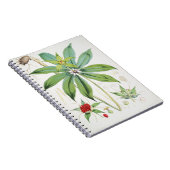 Paris Polyphylla Smith Flower Floral Notitieboek (Rechterzijde)