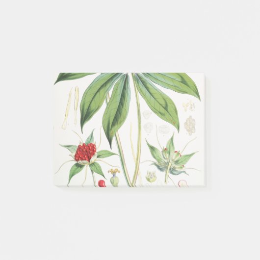 Paris Polyphylla Smith Flower Floral Post-it® Notes (Voorkant)