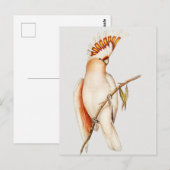 Parish Briefkaart (Voorkant / Achterkant)