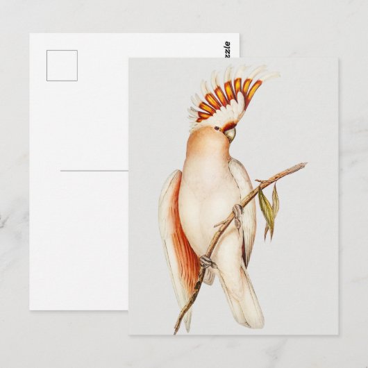 Parish Briefkaart (Voorkant / Achterkant)