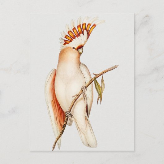 Parish Briefkaart (Voorkant)