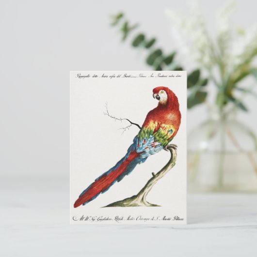 Parish Briefkaart (Staand voorkant)