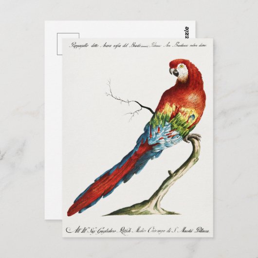 Parish Briefkaart (Voorkant / Achterkant)