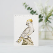 Parish Briefkaart (Staand voorkant)