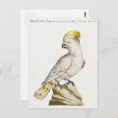 Parish Briefkaart (Voorkant / Achterkant)