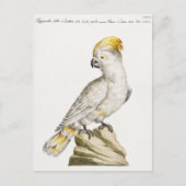 Parish Briefkaart (Voorkant)