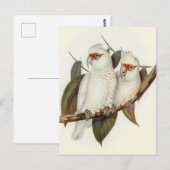 Parish Briefkaart (Voorkant / Achterkant)