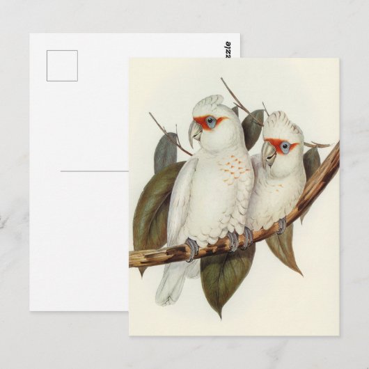 Parish Briefkaart (Voorkant / Achterkant)