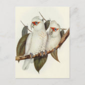 Parish Briefkaart (Voorkant)