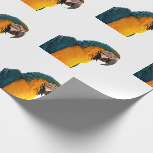 Parish Cadeaupapier (Hoek)