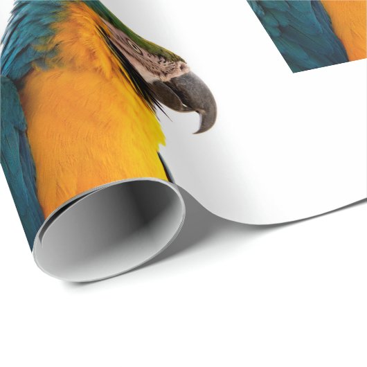 Parish Cadeaupapier (Rol Hoek)