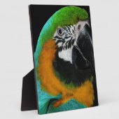 Parish Fotoplaat (Zijkant)