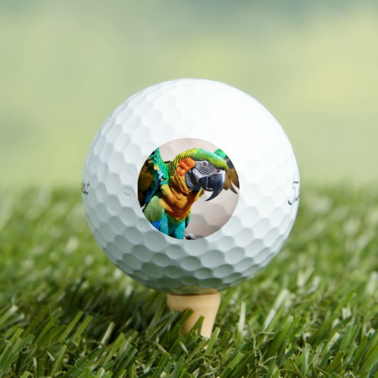 Parish Golfballen (Insitu Shirt)