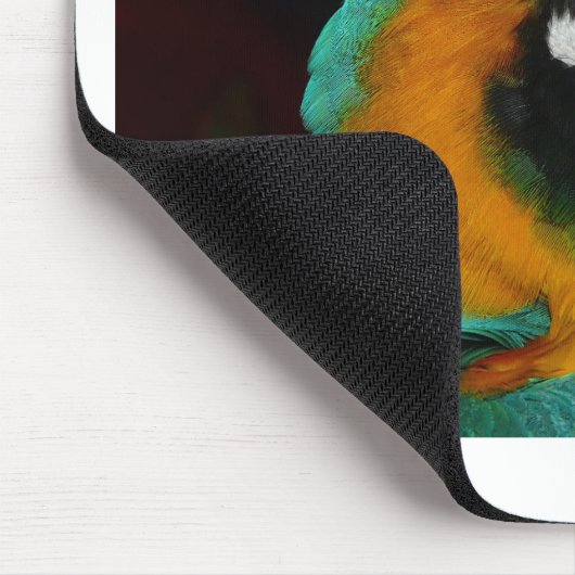 Parish Muismat (Hoek)