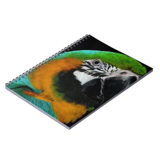 Parish Notitieboek (Linkerzijde)