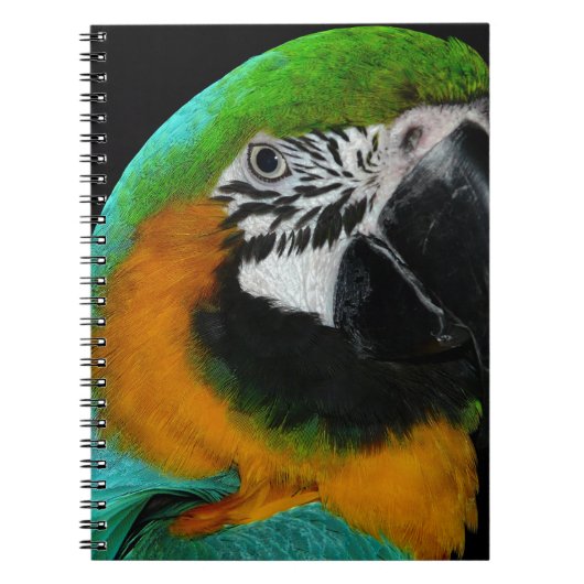 Parish Notitieboek (Voorkant)