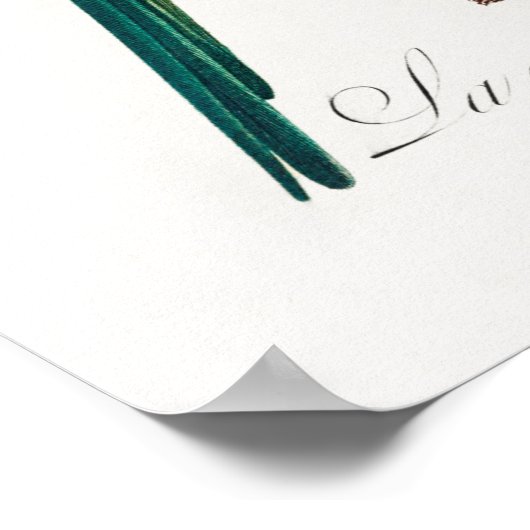 Parish Poster (Hoek)