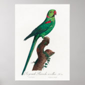 Parish Poster (Voorkant)