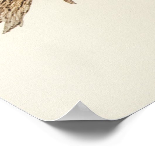 Parish Poster (Hoek)