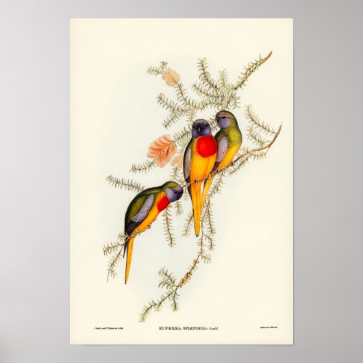 Parish Poster (Voorkant)