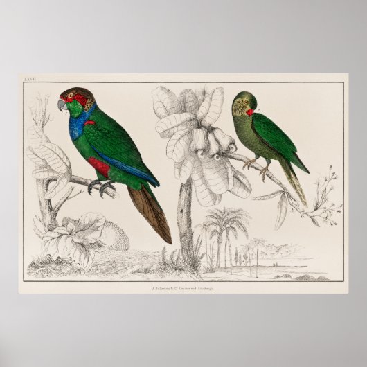 Parish Poster (Voorkant)