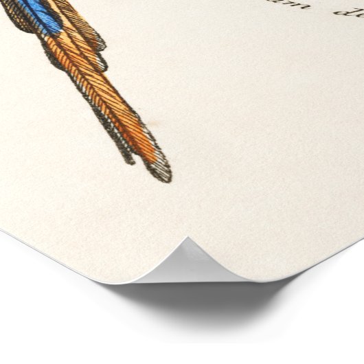 Parish Poster (Hoek)