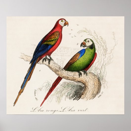 Parish Poster (Voorkant)