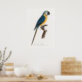 Parish Poster (Keuken)