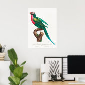 Parish Poster (Thuiskantoor)