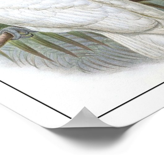 Parish Poster (Hoek)