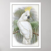 Parish Poster (Voorkant)