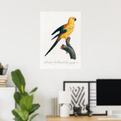 Parish Poster (Thuiskantoor)