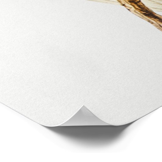 Parish Poster (Hoek)