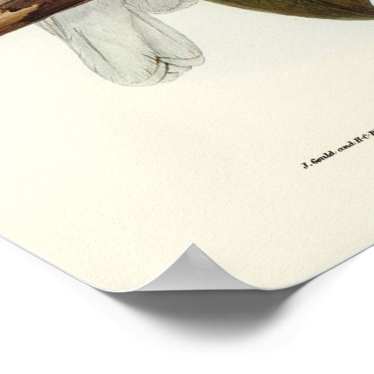 Parish Poster (Hoek)